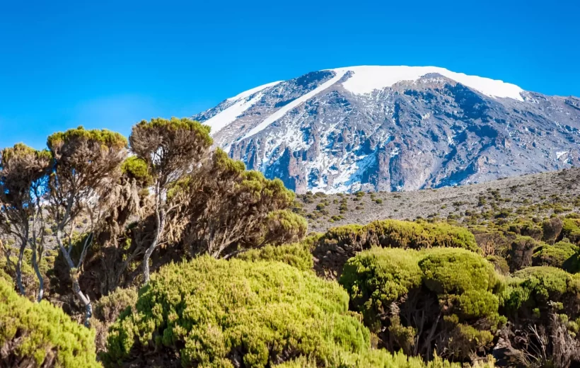 8 Days Mt Kilimanjaro via Lemosho Route Private Tour